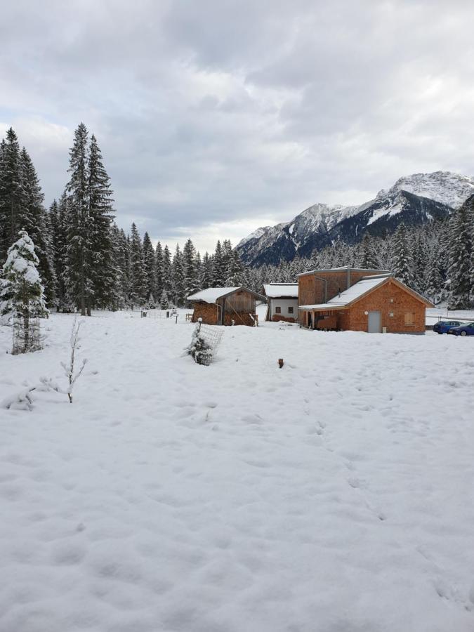 Ammerwald Alm Планзее Екстериор снимка