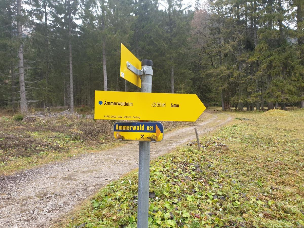 Ammerwald Alm Планзее Екстериор снимка