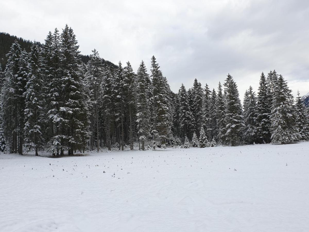 Ammerwald Alm Планзее Екстериор снимка