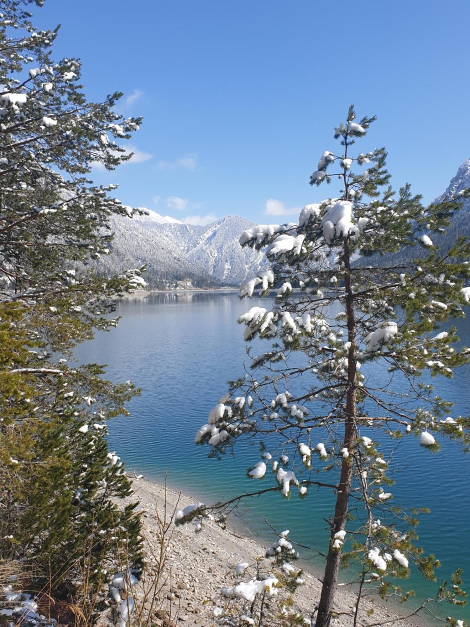 Ammerwald Alm Планзее Екстериор снимка
