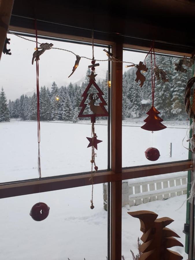 Ammerwald Alm Планзее Екстериор снимка